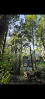 Refugio Ecos del Bosque - 7