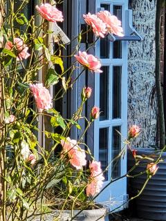 Escape the Ordinary - 5