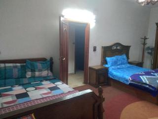 The 5 inn apartment 1 - with rooftop pyramids view - Le Caire - 7
