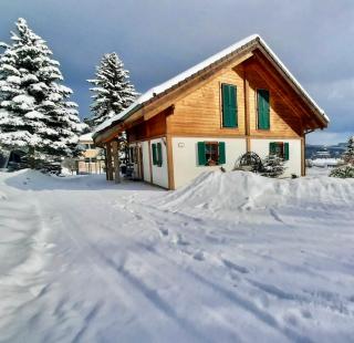 LaDolceVita im Tiroler Holzhaus - Bad Elster - 0