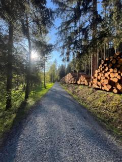 LaDolceVita im Tiroler Holzhaus - Bad Elster - 3