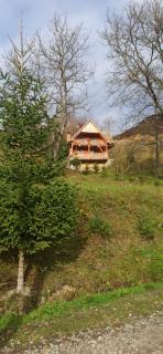 Садиба Ярок на 10 осіб баня манга дрова входять у вартість також неподалік є чан - 5