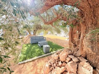 Résidence Azur Djerba - 7