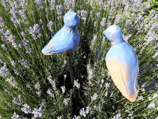 Gîte des Tourtereaux proche Europapark et Rulantica - 1