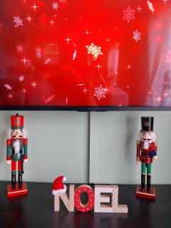 Les brézines Terrasse, Clim & Terrain de boules - 7