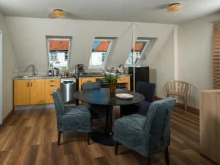 Attic Apartment Forelle With Panoramic River Views - 6