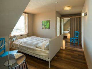 Attic Apartment Forelle With Panoramic River Views - 3