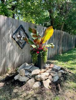 The Little Lone Star - 2