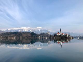 AERO Apartmaji Lesce-Bled - 1