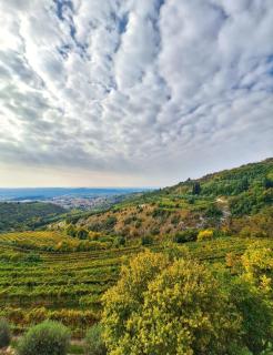 La casa di Lilly - 1