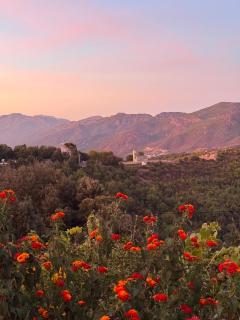 Maison traditionnelle avec vues sur St Michel - 9