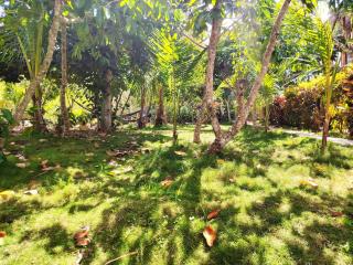 Homestay Natural Paradise habitación 1 - 1