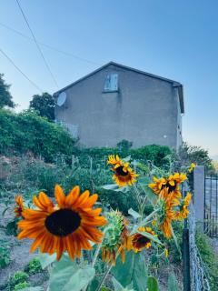 Maison traditionnelle avec vues sur St Michel - 5