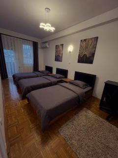 Skyline Serenity Apartment - Prizren - 9
