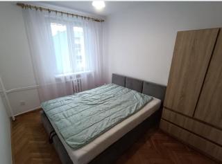 Apartament do wynajęcia - 1