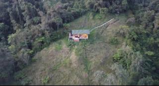 Glamping Bosque de helechos, privacidad y cercanía - 1