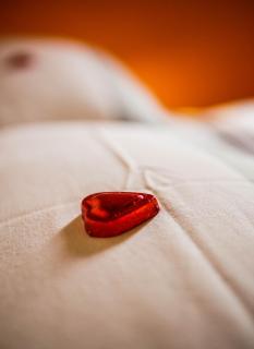 Naturesbase Lodge - 1