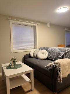 Downtown apartment with good bus connections - 8