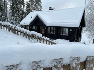 Järvenrantamökki Nurmijärvellä - 4