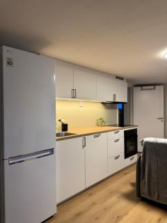 Downtown apartment with good bus connections - 7