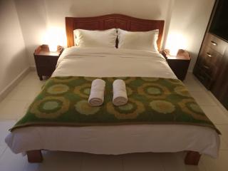 The Oshani Apartment - 2