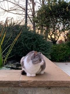 B&B Beauty House - 9