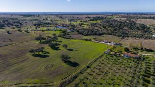 Monte Velho do Pinheiro - 8