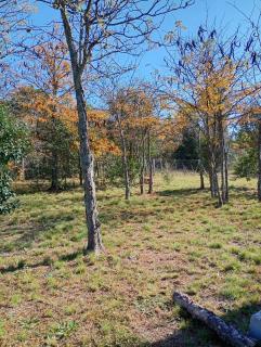 Cabaña Avivando mi llama - 5