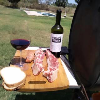 Plumas verde, casa campo - 3