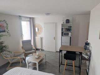 Grande chambre et salle de bain privée et balcon - Strasbourg - 7