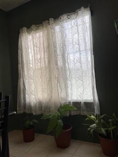 Big Sloth Apartment - 1