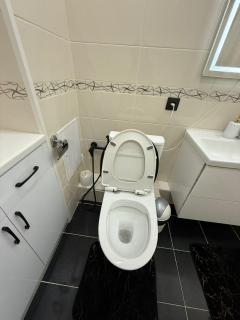 Уютная 2 комнатная квартира Inju Arena - 4