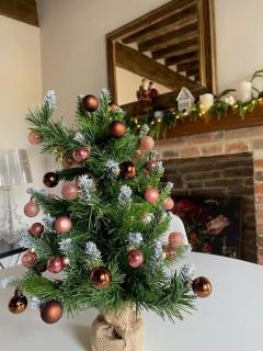 Appartamento Balcone sulla vigna Borgo Solfagnano - 8