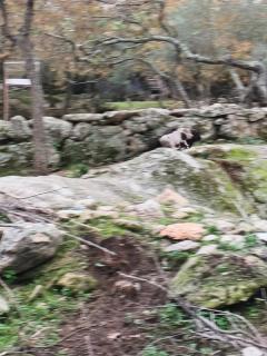 Tapada das Carvalhas - 6