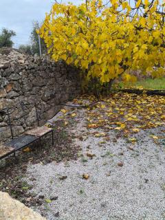 Tapada das Carvalhas - 9