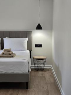 Downtown luxury apartment I - 0