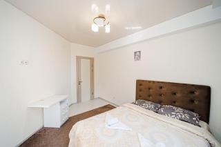 The spacious apartment - 1