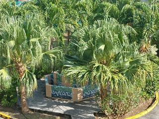 Studio, plage, bar-restaurant accès conditionné à la piscine, parking, location de voitures - 0