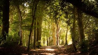 Stunning Studio Barn - 4