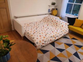 Cute home in walking distance to Cambridge Center - 5