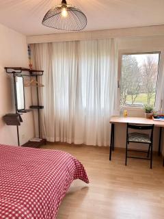 Private room and bathroom in Schlieren Zurich - 1