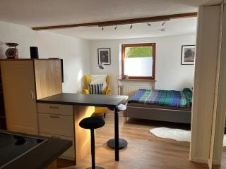 Schwarzwald-Nest Lenzkirch - 0