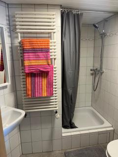 Schwarzwald-Nest Lenzkirch - 5