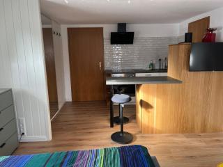 Schwarzwald-Nest Lenzkirch - 4