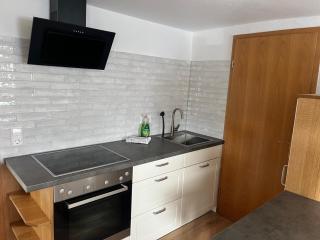 Schwarzwald-Nest Lenzkirch - 1