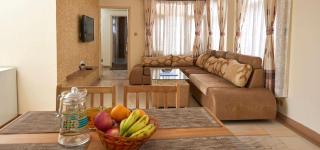 1 Bedroom Penthouse - 2