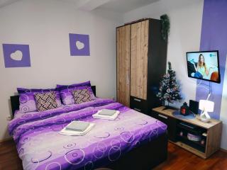Apartman Aleksandra Zlatibor Zlatiborski Andjeo - 2