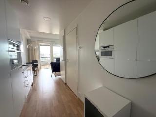 Goldfinger yksiö merinäköalalla 7 krs - 9