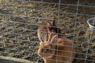 Садиба Кичера Еко - 2