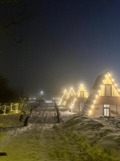 Landhaus Borjomi - 7